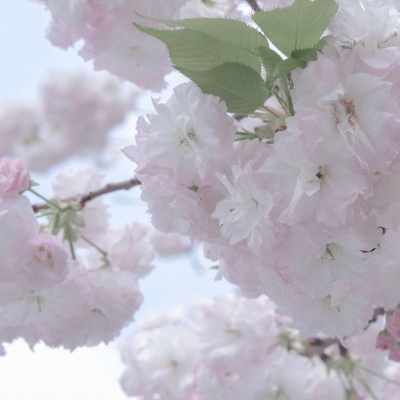 Furry插画细节灵感兽圈社群